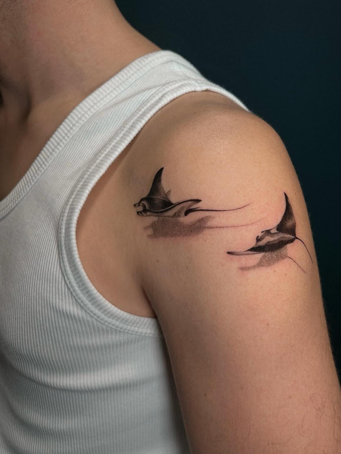 Two manta ray tattoos with shading on a person's upper arm and shoulder.
