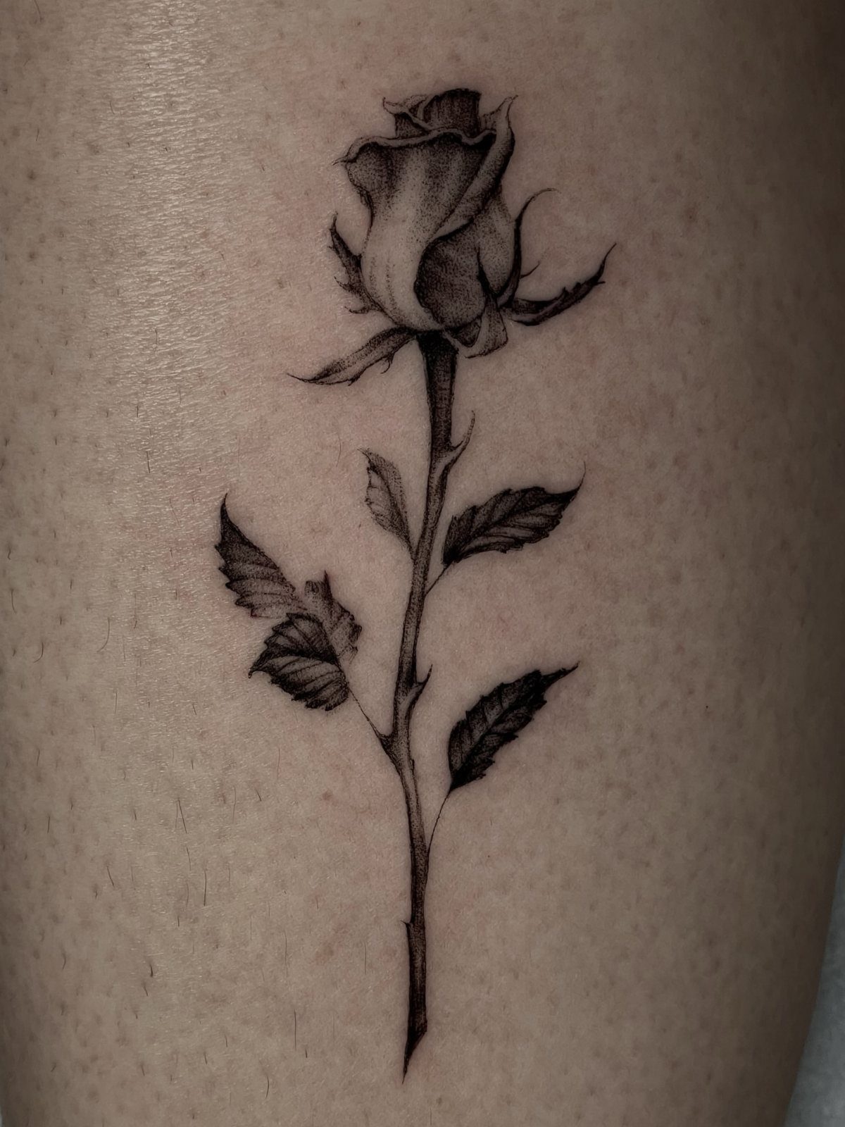 Small black and grey rose tattoo with stem and leaves on fair skin