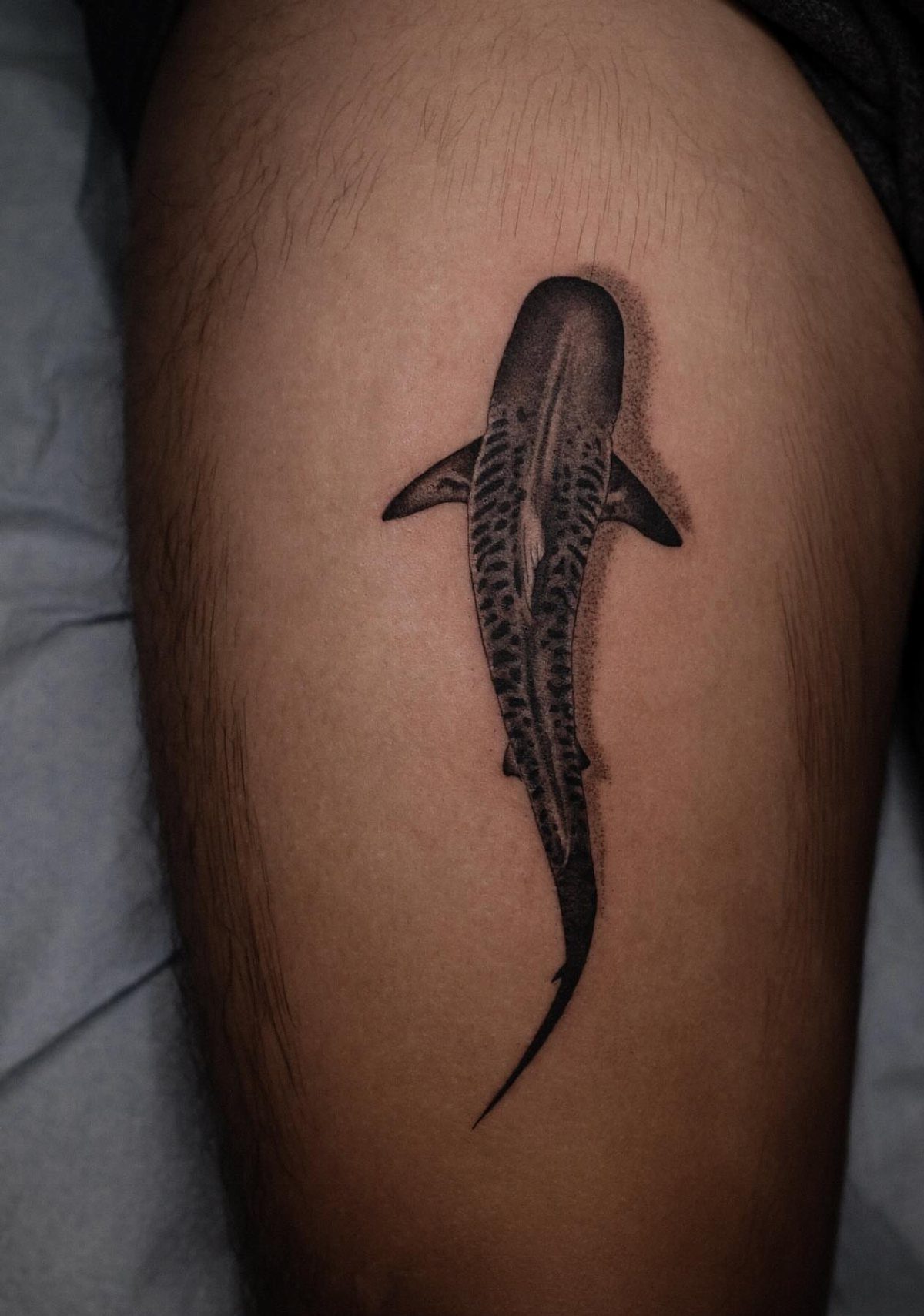 Tiger shark tattoo with stripes inked in black and grey on a thigh