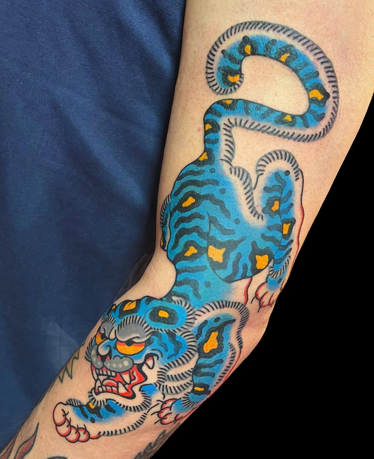 Blue and orange traditional Japanese tiger tattoo on a person's forearm