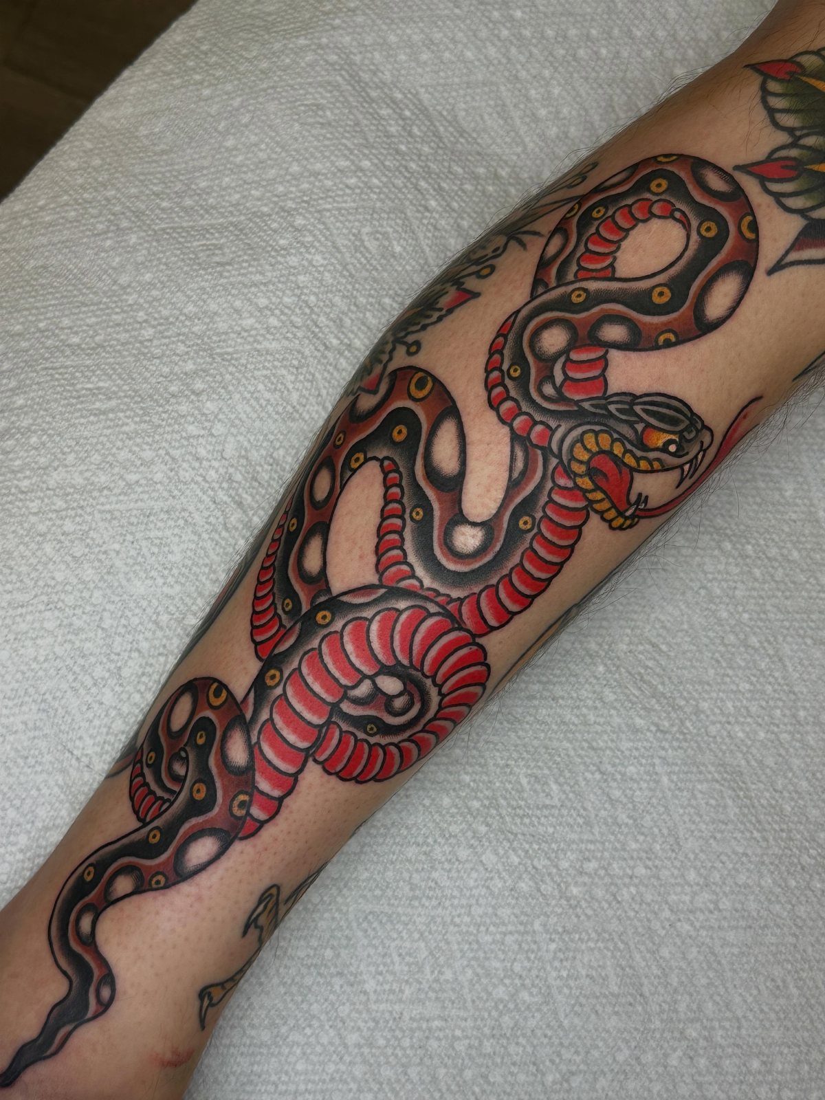 Traditional snake tattoo with red and black ink on a person's forearm.